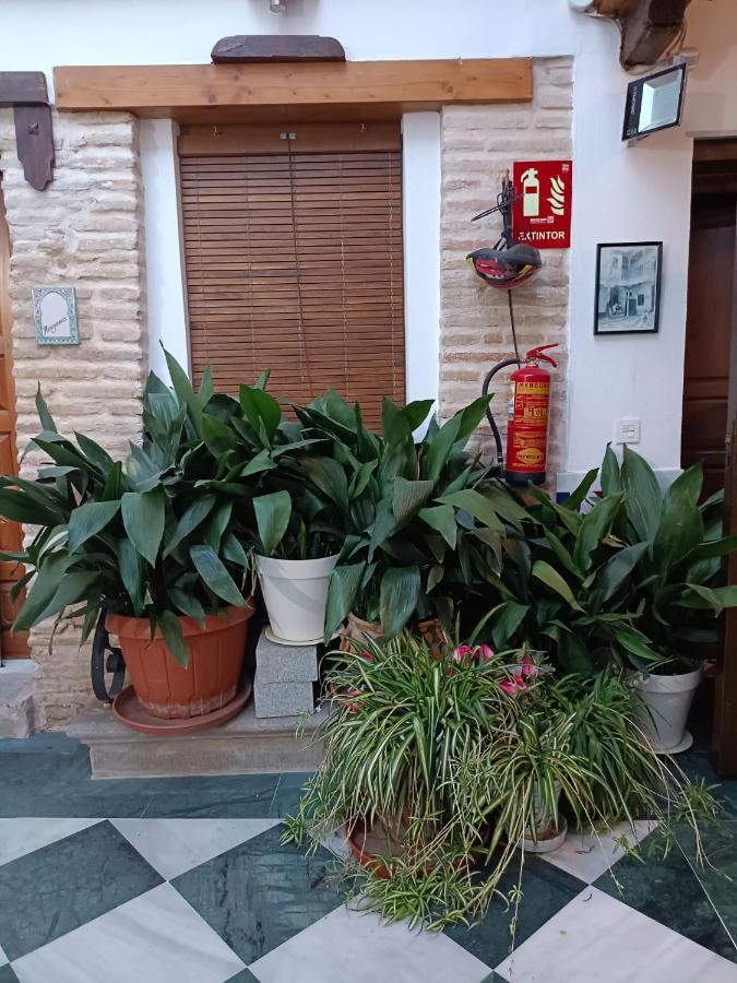 Apartamento Patio De Los Leones Granada Esterno foto